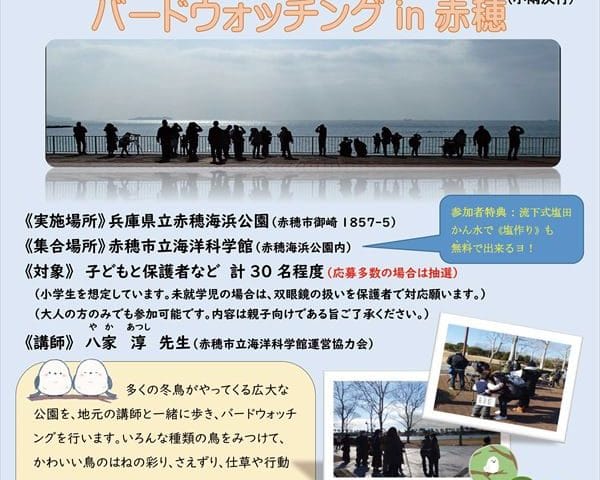 令和7年2月1日-バードウォッチング1