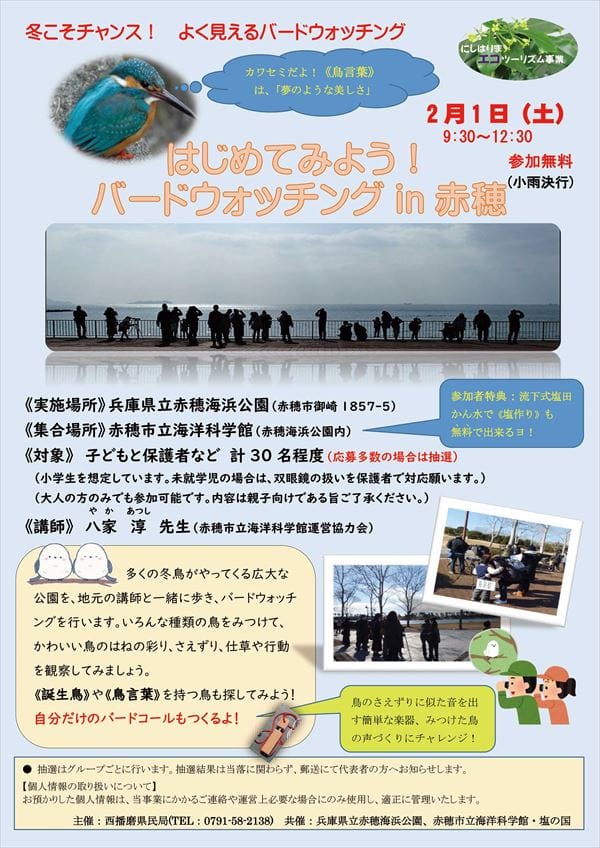 令和7年2月1日-バードウォッチング1